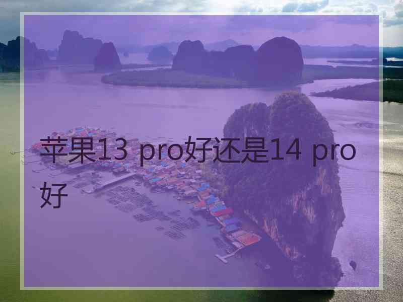 苹果13 pro好还是14 pro好