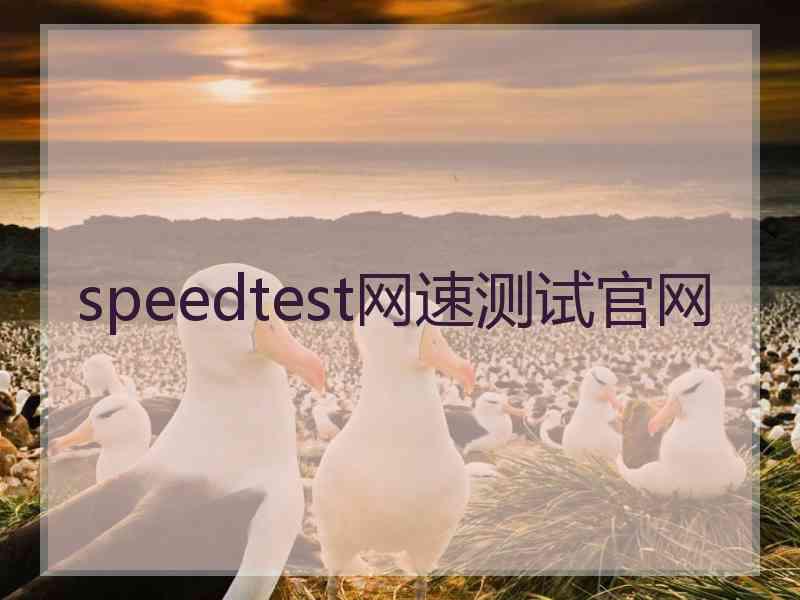 speedtest网速测试官网