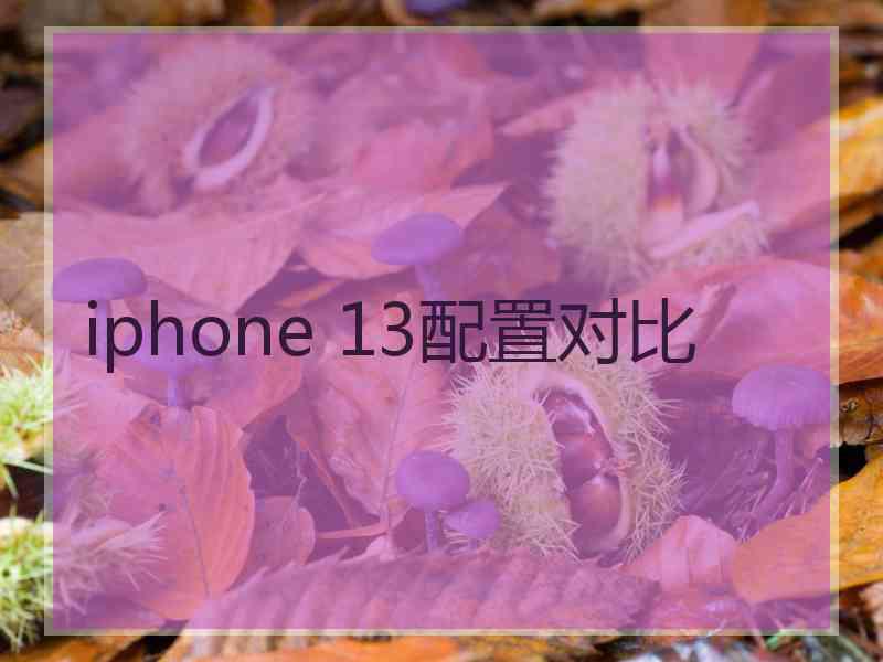 iphone 13配置对比