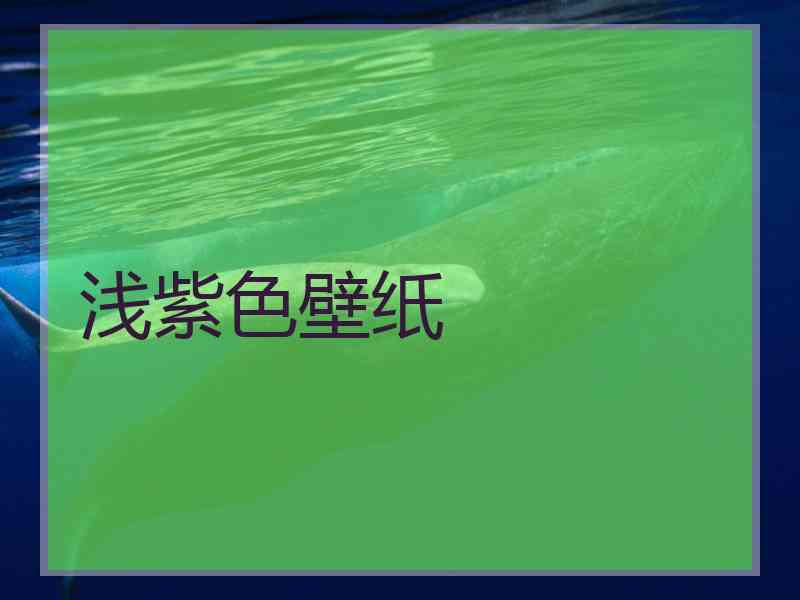 浅紫色壁纸