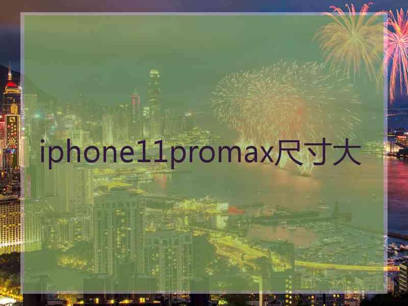 iphone11promax尺寸大