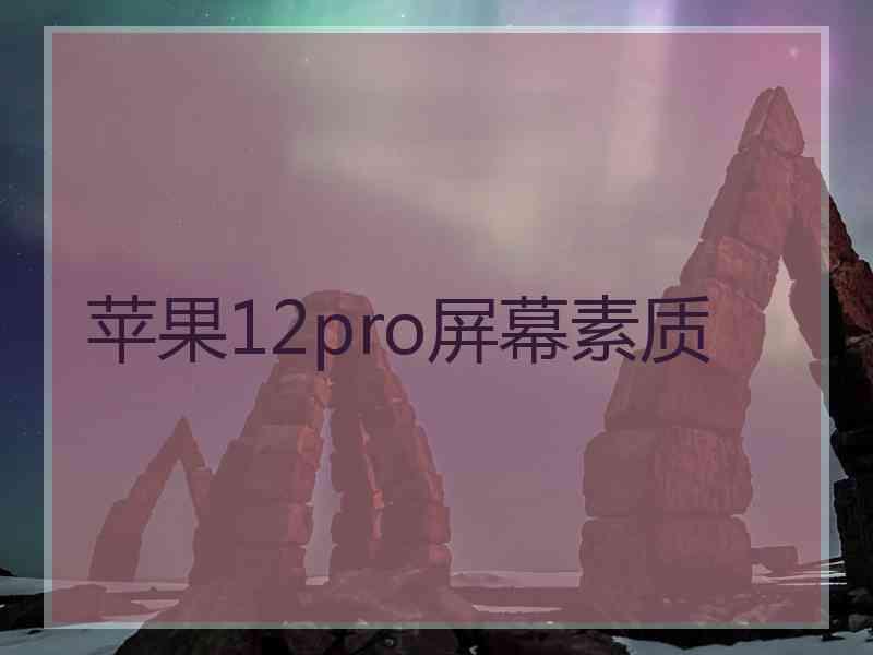 苹果12pro屏幕素质