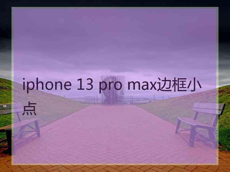 iphone 13 pro max边框小点