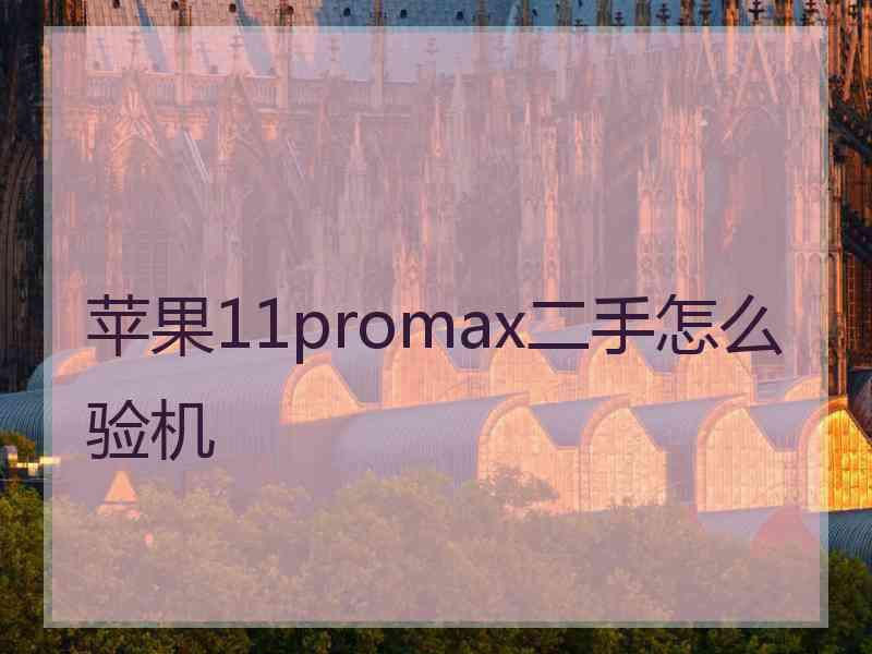 苹果11promax二手怎么验机