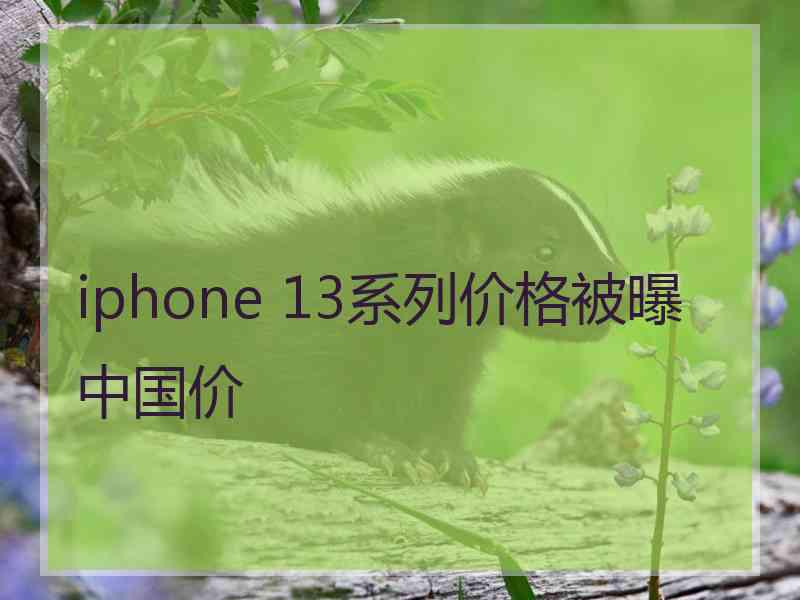 iphone 13系列价格被曝中国价