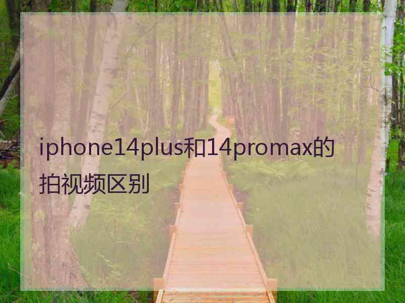 iphone14plus和14promax的拍视频区别