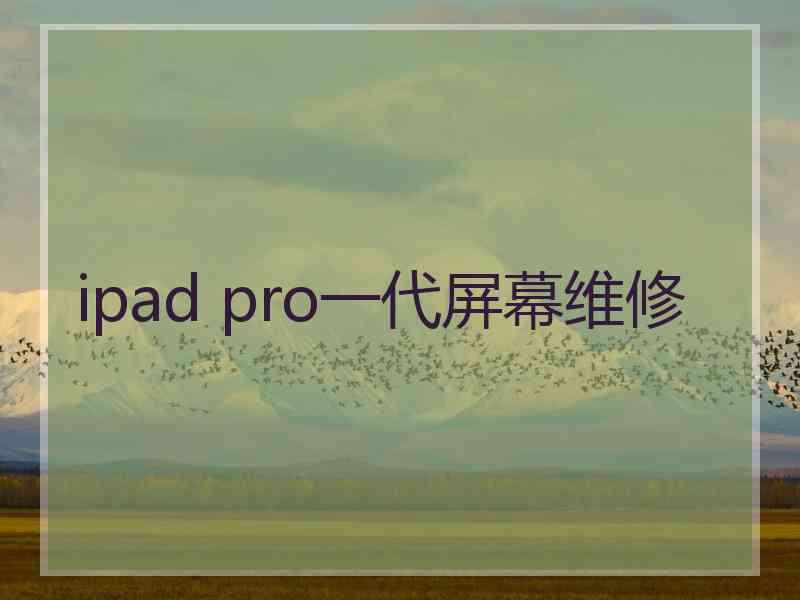 ipad pro一代屏幕维修