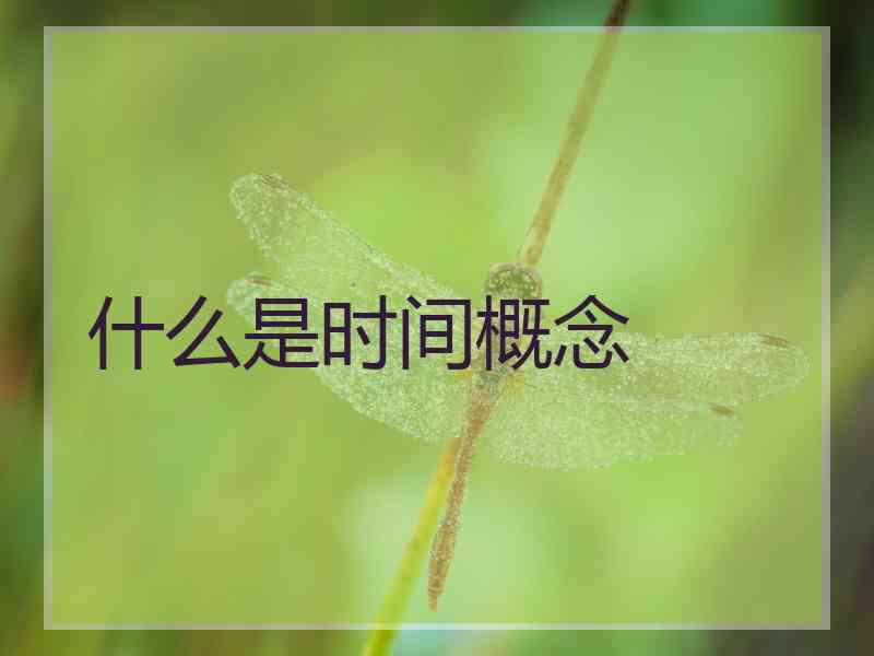 什么是时间概念