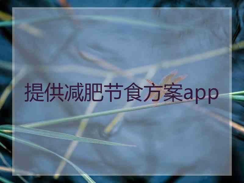 提供减肥节食方案app