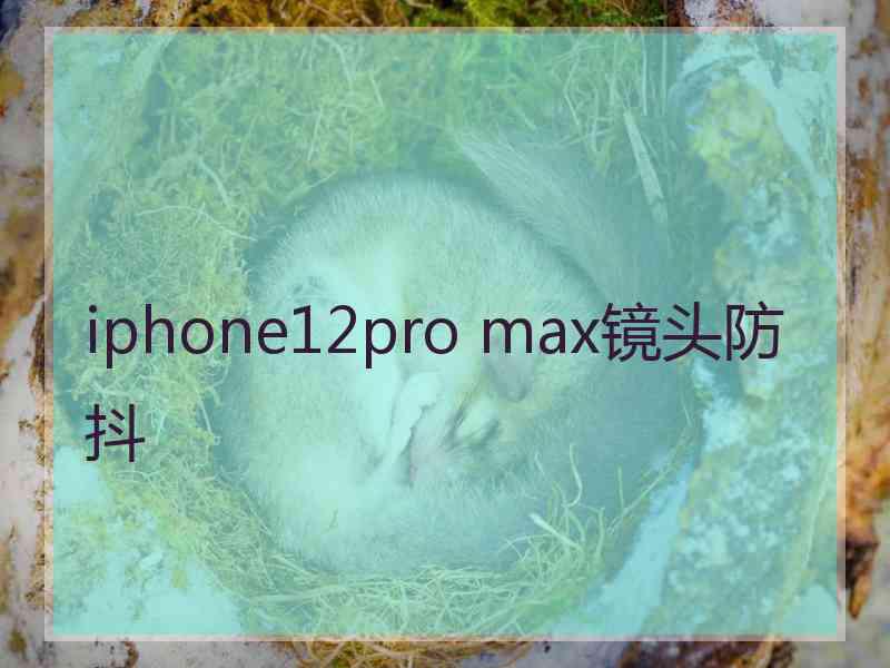 iphone12pro max镜头防抖