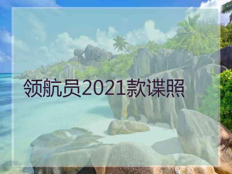 领航员2021款谍照