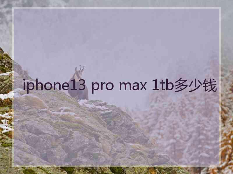 iphone13 pro max 1tb多少钱