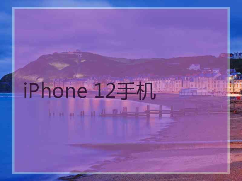 iPhone 12手机