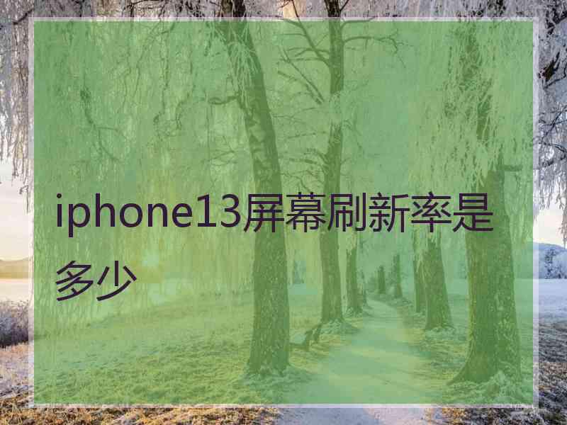 iphone13屏幕刷新率是多少