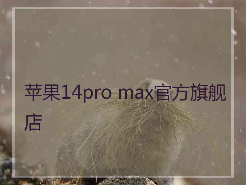 苹果14pro max官方旗舰店