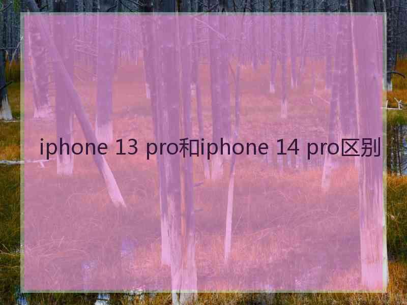 iphone 13 pro和iphone 14 pro区别