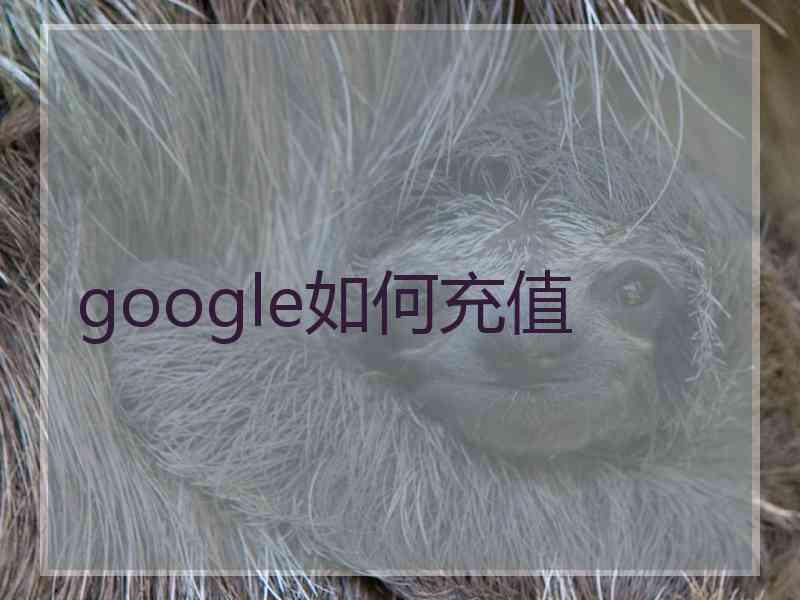 google如何充值