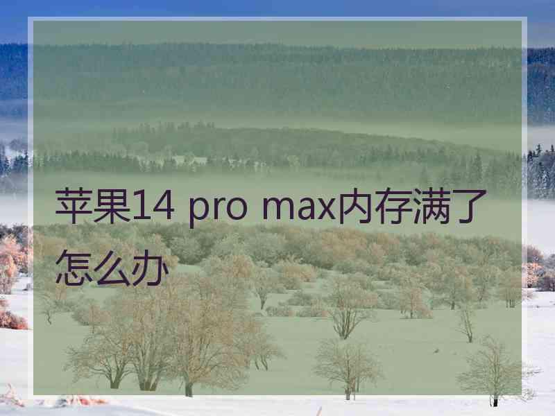 苹果14 pro max内存满了怎么办