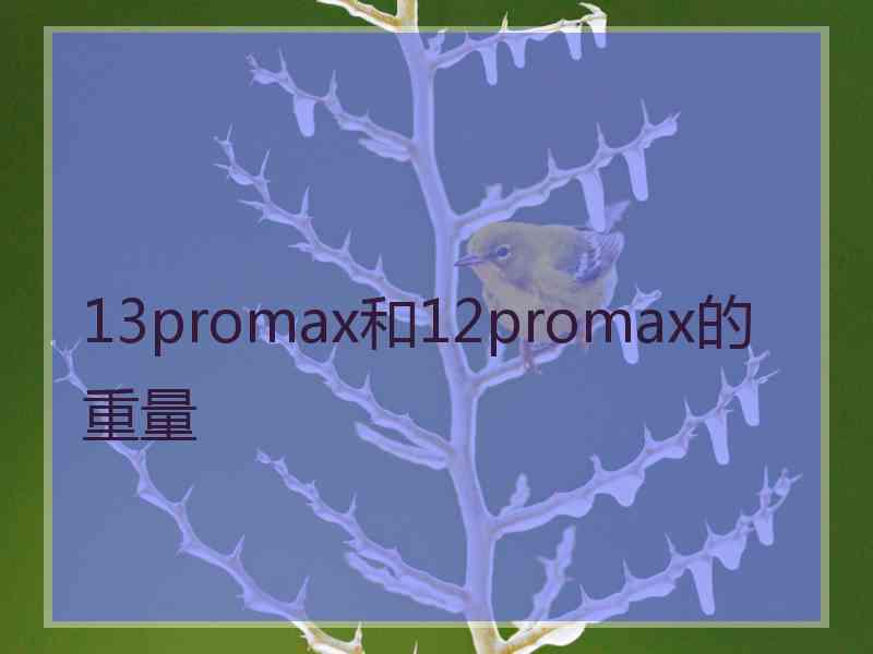 13promax和12promax的重量