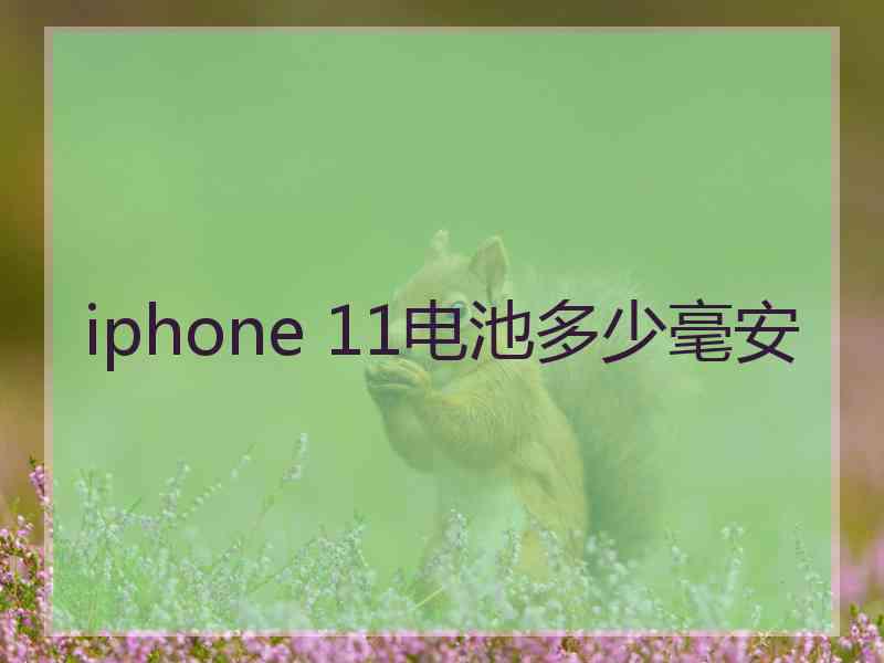 iphone 11电池多少毫安