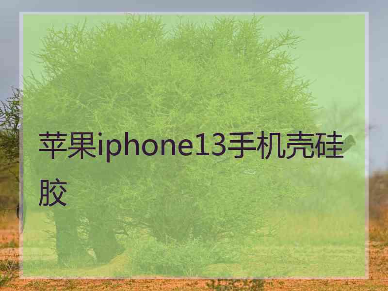 苹果iphone13手机壳硅胶