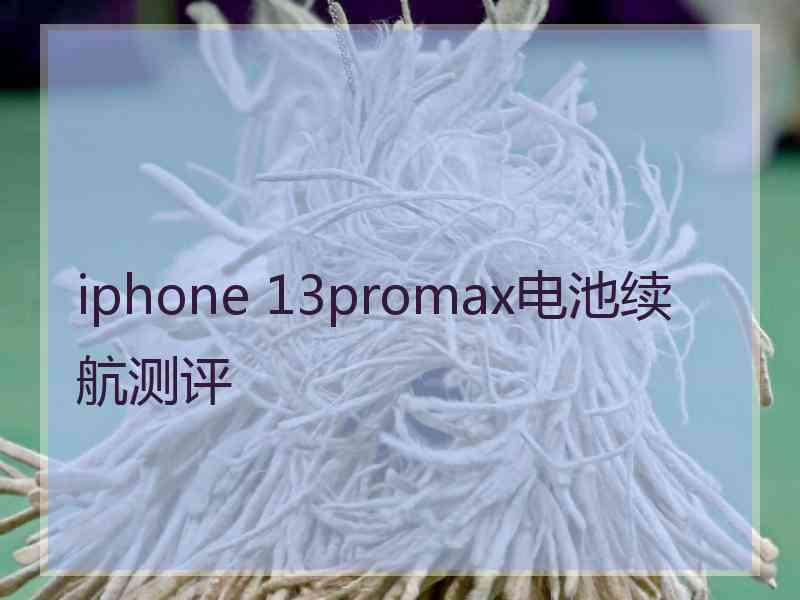 iphone 13promax电池续航测评