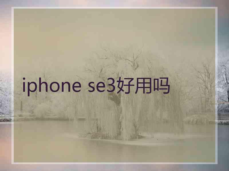 iphone se3好用吗