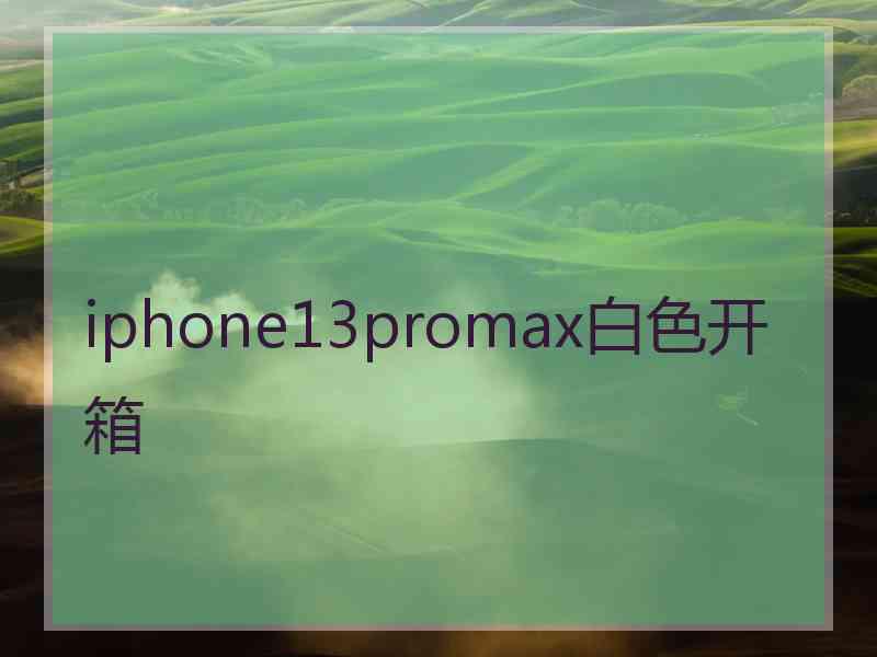 iphone13promax白色开箱