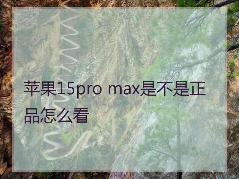 苹果15pro max是不是正品怎么看