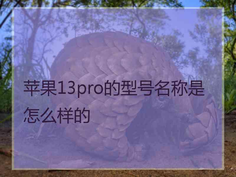 苹果13pro的型号名称是怎么样的