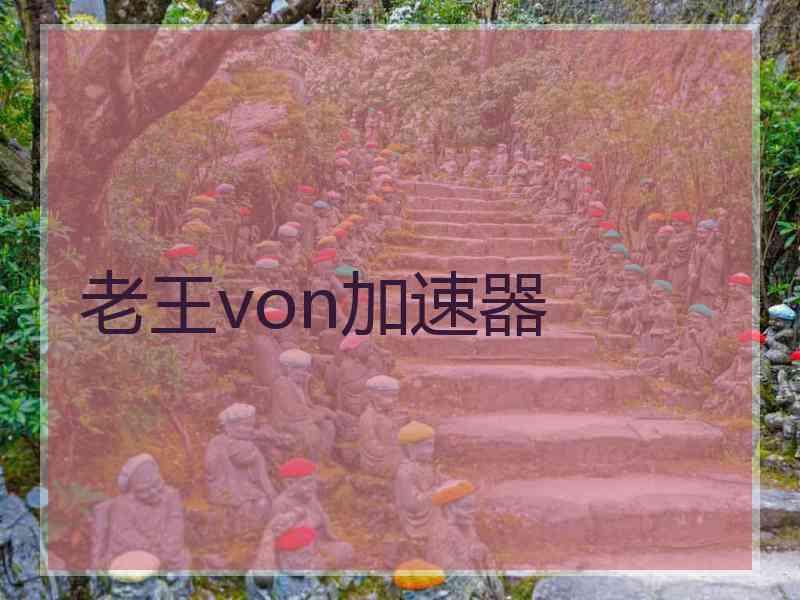 老王von加速器