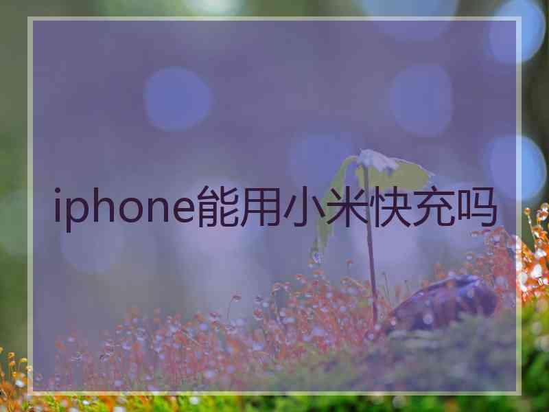 iphone能用小米快充吗