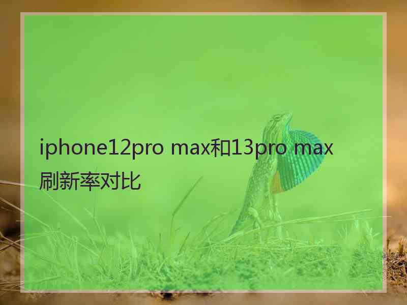 iphone12pro max和13pro max刷新率对比