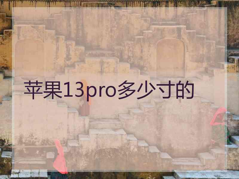 苹果13pro多少寸的