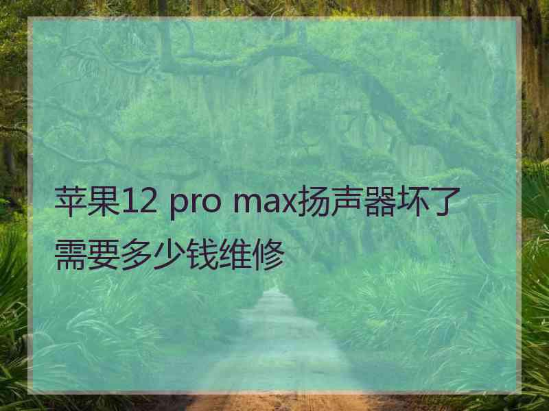 苹果12 pro max扬声器坏了需要多少钱维修