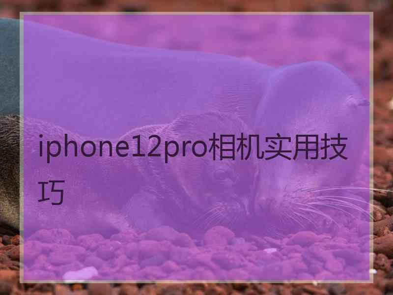 iphone12pro相机实用技巧