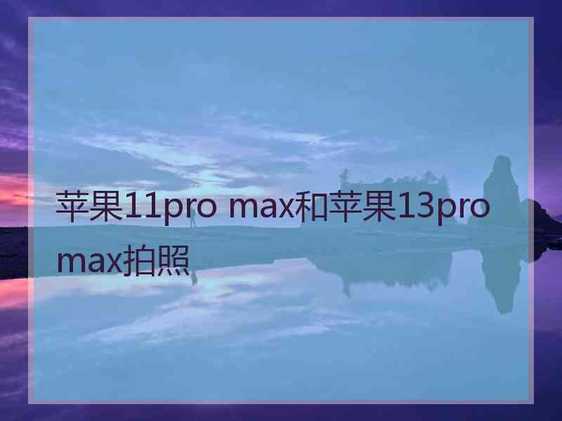 苹果11pro max和苹果13promax拍照