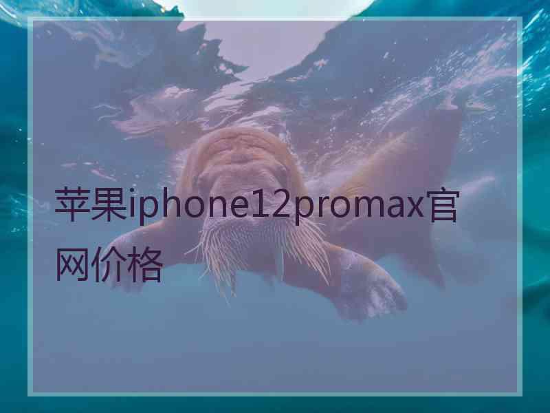 苹果iphone12promax官网价格