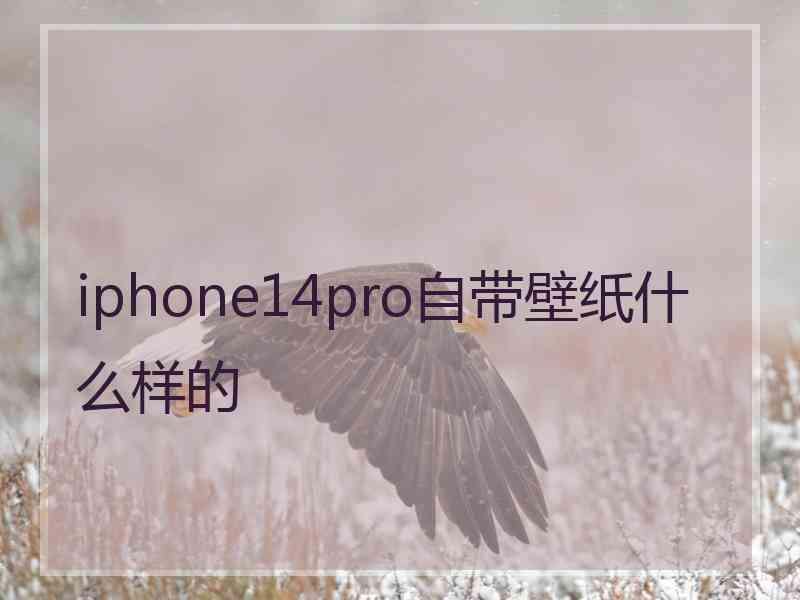 iphone14pro自带壁纸什么样的