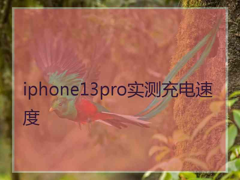 iphone13pro实测充电速度