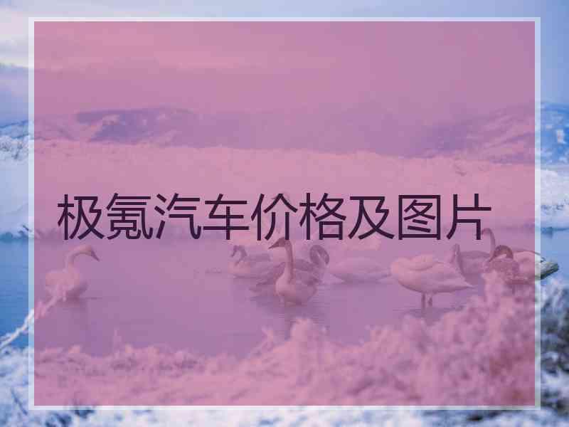 极氪汽车价格及图片