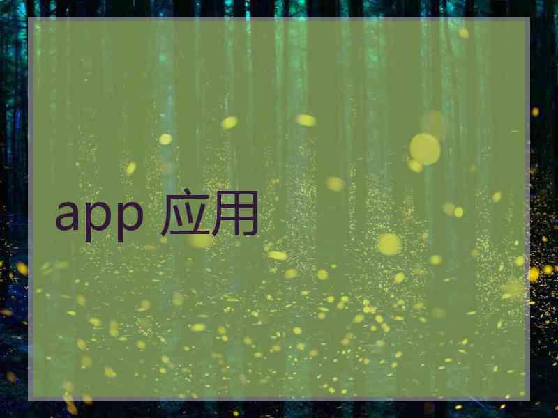 app 应用