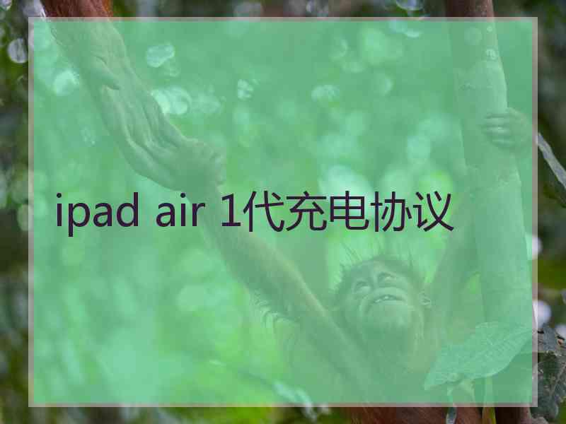 ipad air 1代充电协议