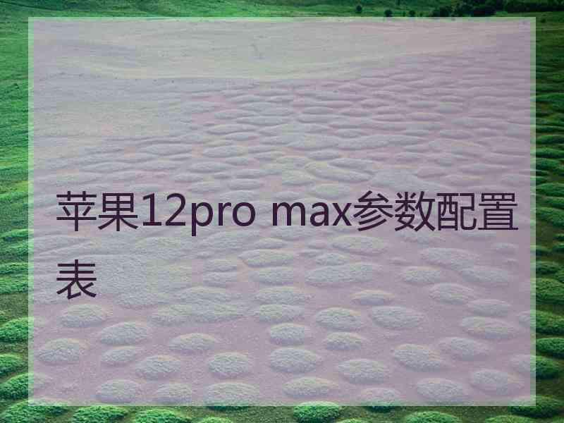 苹果12pro max参数配置表