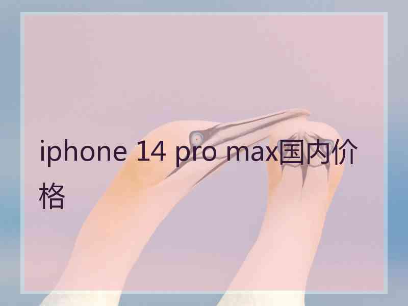 iphone 14 pro max国内价格