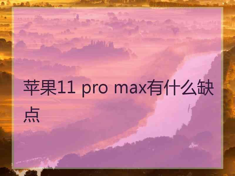 苹果11 pro max有什么缺点