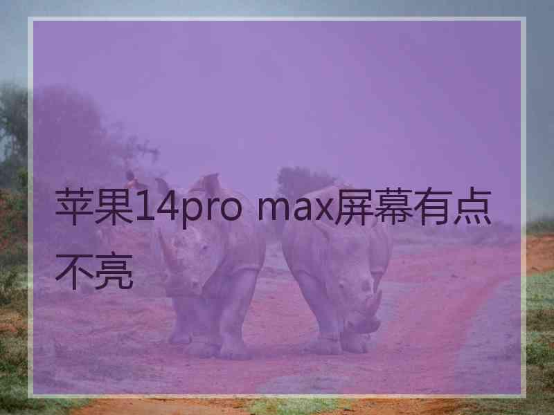 苹果14pro max屏幕有点不亮