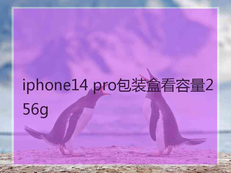 iphone14 pro包装盒看容量256g