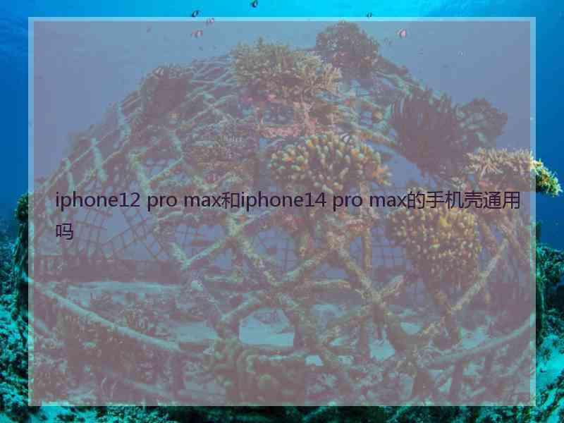 iphone12 pro max和iphone14 pro max的手机壳通用吗