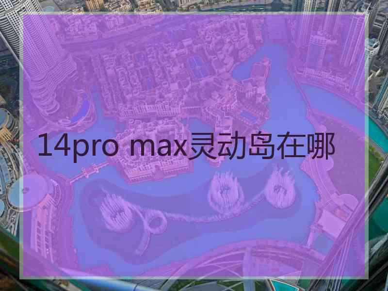 14pro max灵动岛在哪